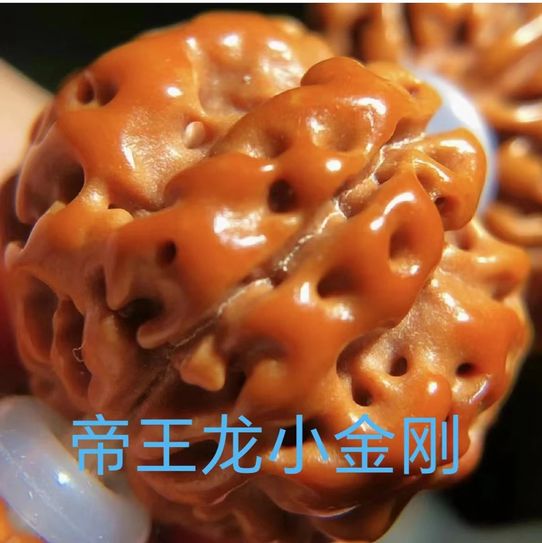 帝王龙小金刚手串