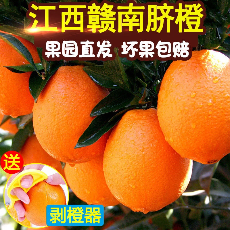 正宗江西赣南脐橙橙子新鲜水果当季整箱爆甜礼盒包邮孕妇水果