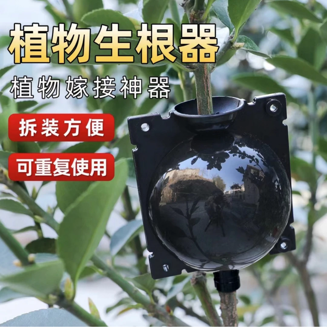 植物高压生根盒扦插嫁接育苗果树园林高空压枝生根繁殖球