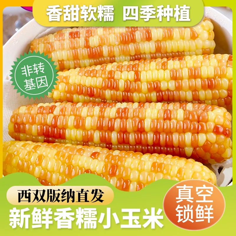 [韩炬甄选]云南省景洪市新鲜花糯小玉米代餐香糯西双版纳1.5kg