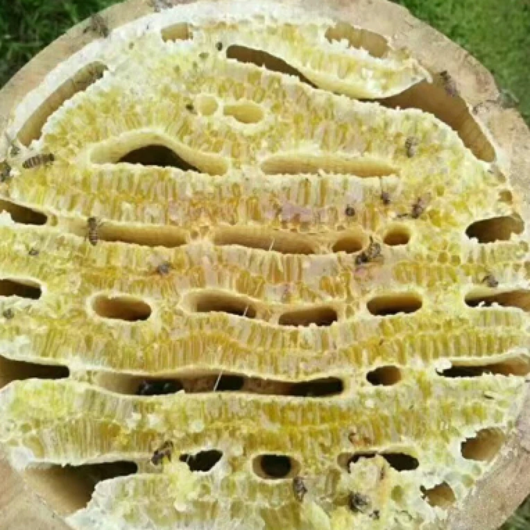 湘西本地土特产蜂蜜。