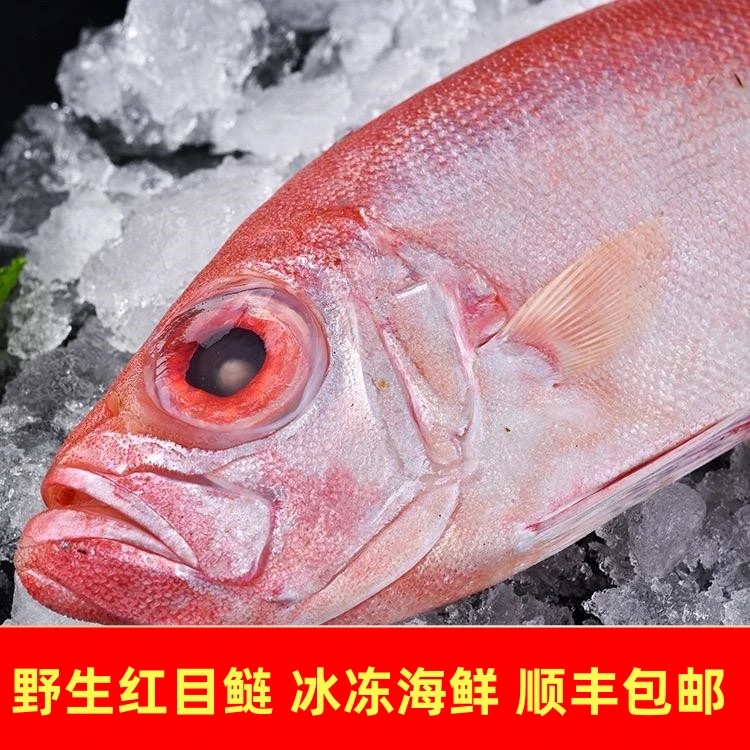 野生红目鲢 低温冷冻海鲜大海莲大眼鲷大眼鱼大眼鸡真空包装新鲜