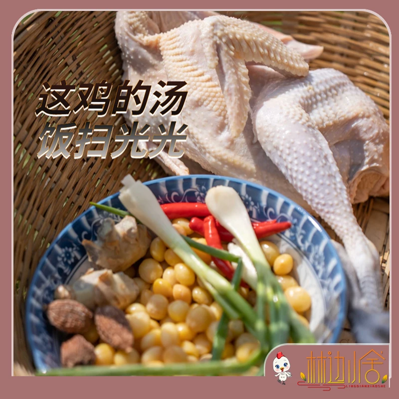 林边小舍云南高原山林生态散养9个月土鸡新鲜现杀整鸡母鸡≤1500g