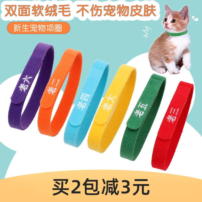 宠物识别圈出生记号带猫咪标记新生小猫幼猫项圈分辨奶猫狗狗脖圈