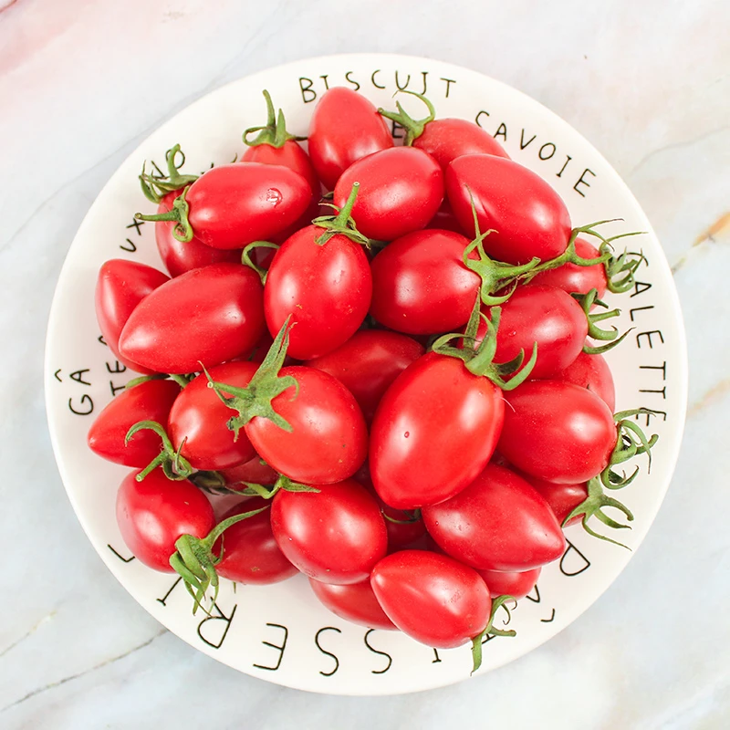 圣女果千禧3斤/5斤装新鲜蔬菜小番茄西红柿山东蔬菜小西红柿
