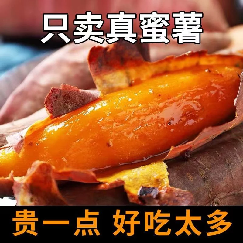 蜜薯5斤红薯新鲜农家地瓜山东沙地烟薯25糖心现挖红心甜番薯