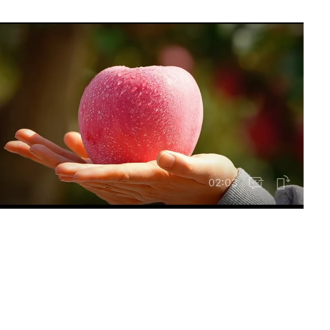 助农 陕西延安红富士大中小果4.5KG-7KG/箱