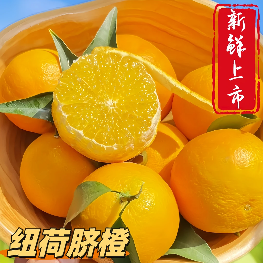 四川纽荷尔脐橙5斤新鲜水果 香甜多汁果肉细嫩化渣出汁约400ml/斤