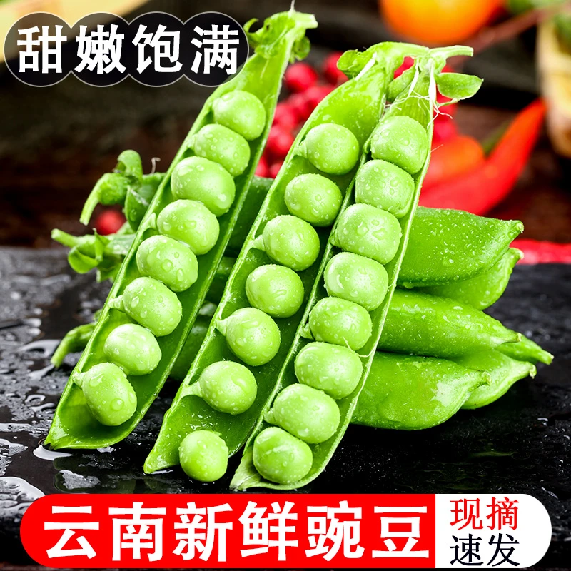 云南现摘脆甜豌豆带壳新鲜水果青豆角农家蔬菜当季甜豆荚生豌豆嫩