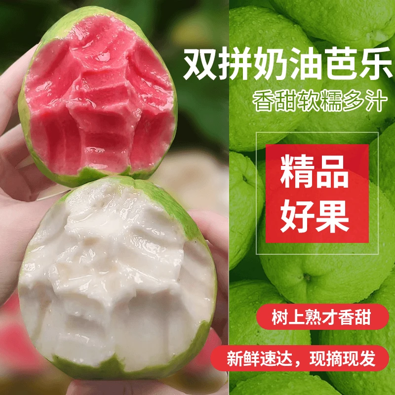 3-5斤 双拼奶油芭乐水果新鲜采摘番石榴香甜软糯产地发货送酸梅粉