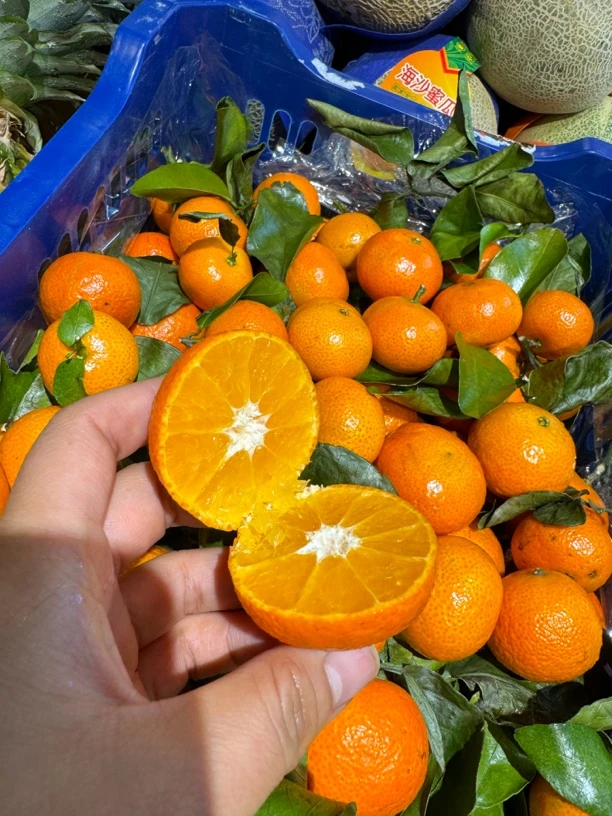 正宗砂糖橘一盒