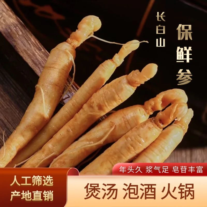 林界森海东北特产保鲜参泡酒煲汤真空包装源头自然无硫营养品