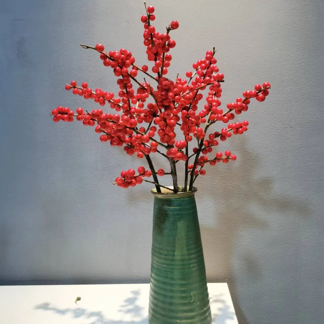 【三锋花卉】A级高品质--北美冬青3支装