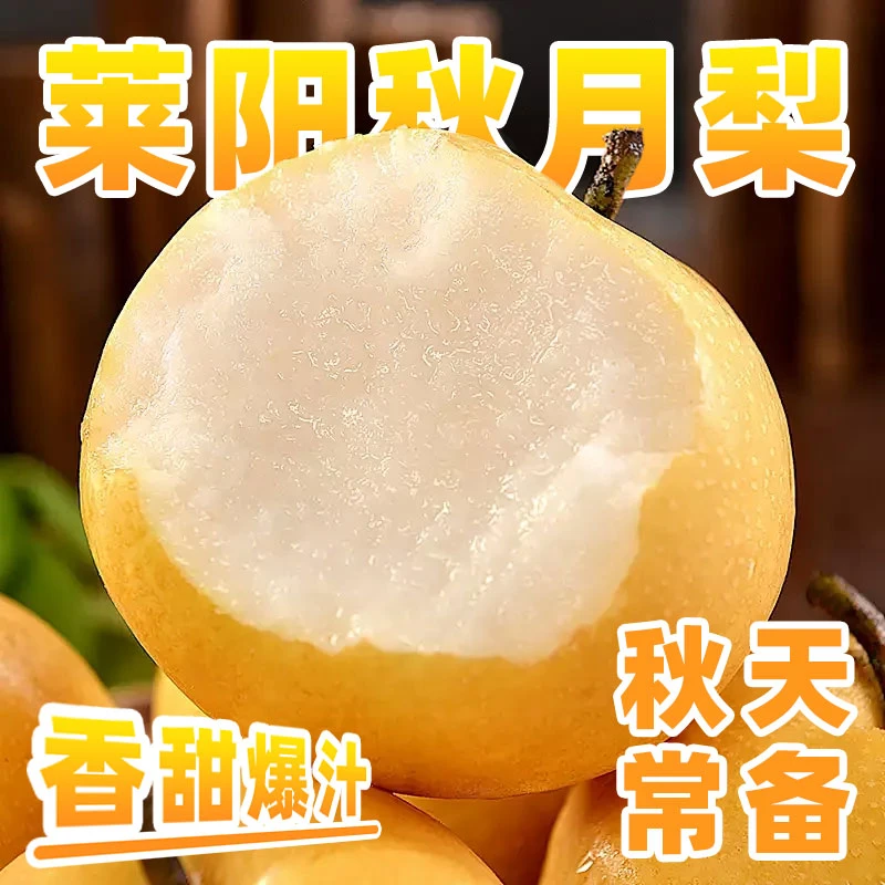 青馋猫莱阳秋月梨大果新鲜水果现摘现发正宗冰糖梨子脆甜当季时令