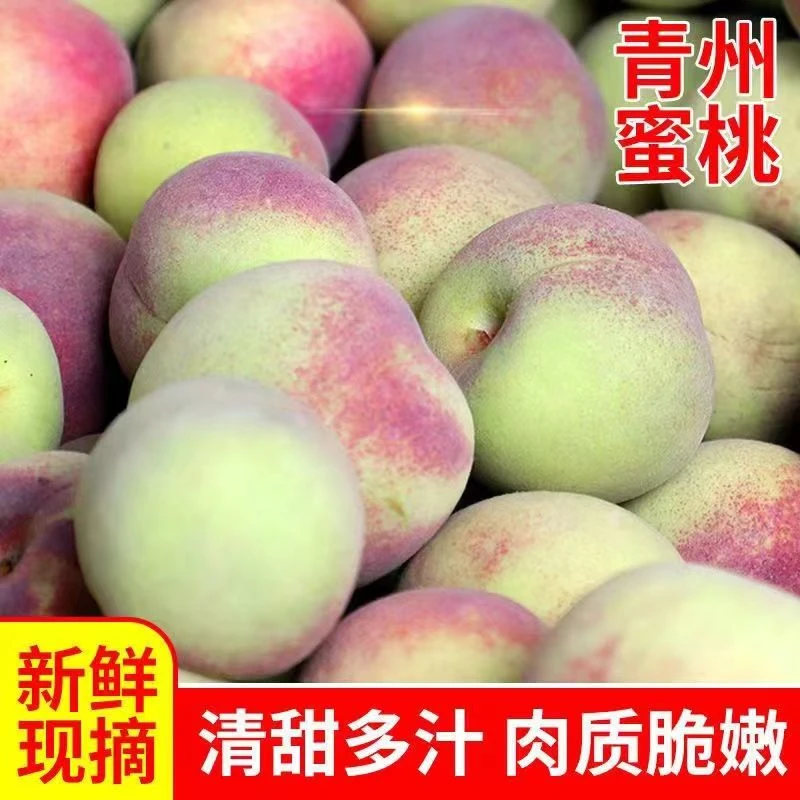 山东青州蜜桃小山桃小毛桃新鲜现摘现发秋桃4.5斤包邮