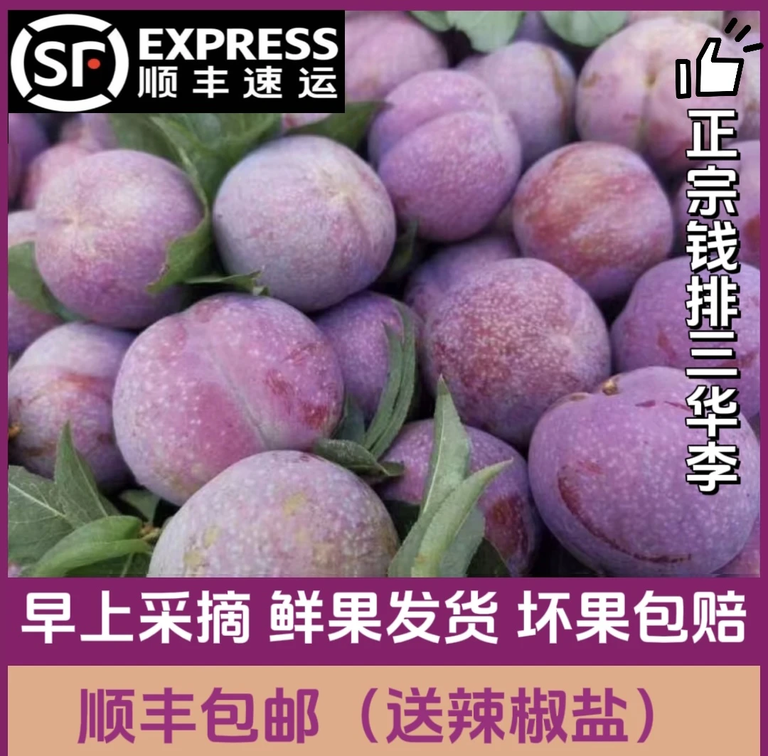 （精品大果)新鲜采摘李子正宗钱排红心三华李2斤起（送辣椒盐）