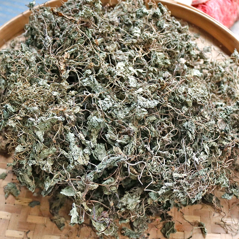 精选大自然（桑叶）青天葵细叶 50g/100g（桑叶）