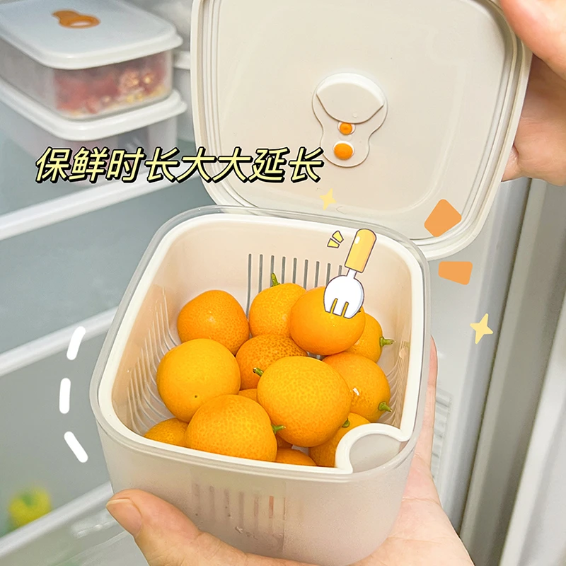 拾物造家冰箱收纳盒外出水果沥水保鲜盒冷冻密封收纳盒葱花保鲜盒