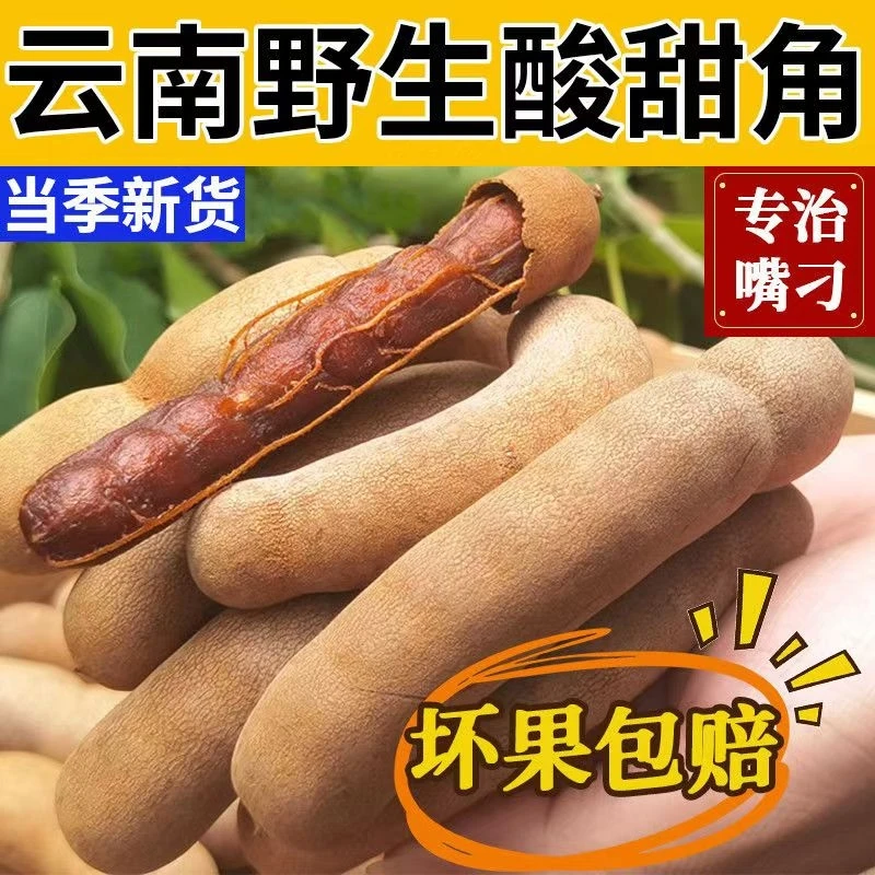 【云南特产甜酸角】酸甜角罗望子新鲜果子孕妇儿童酸角甜角小零食