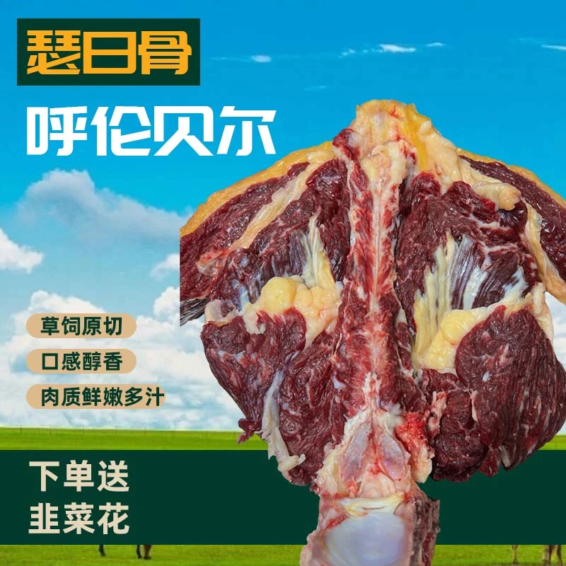 【瑟日骨】草原散养黄膘牛肉手把肉 布里亚特民族宴请头菜