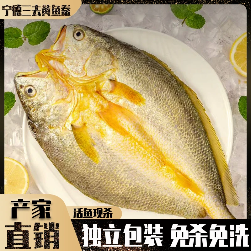 【250克/八条】宁德严选新鲜黄花鱼套餐现杀肉嫩去鳞冷鲜黄鱼深海鱼