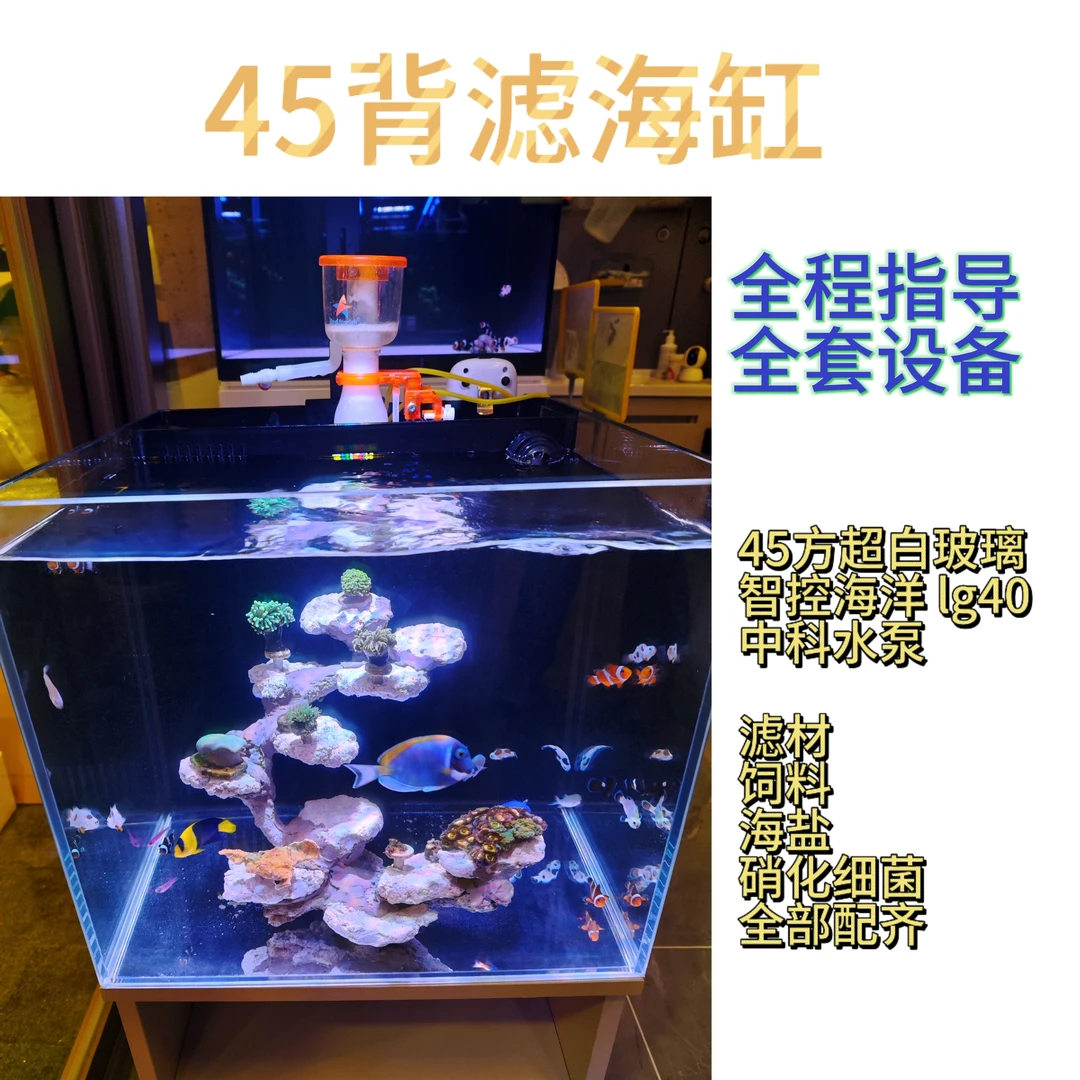 45方海缸零基础全套设备