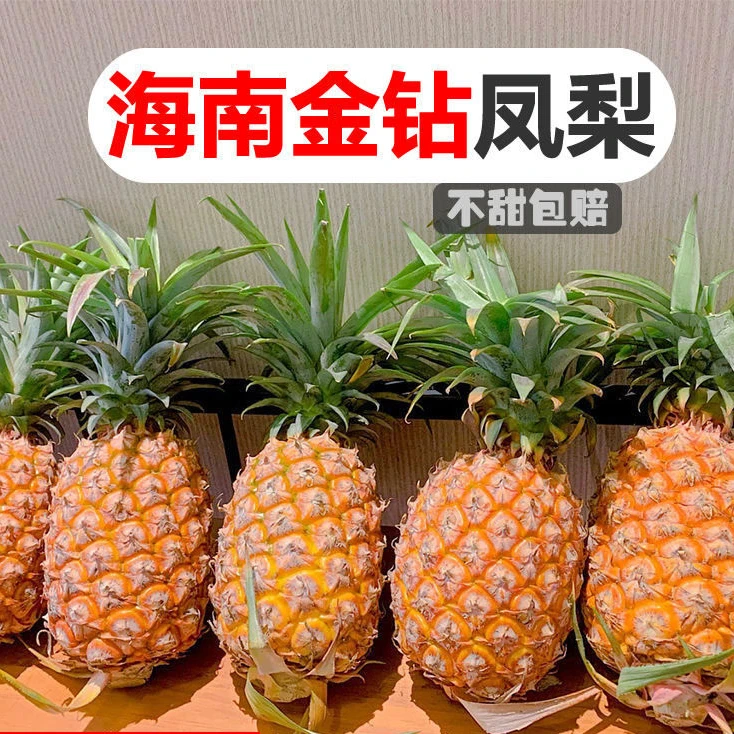 香甜多汁金钻凤梨3-8斤装新鲜应季口感纯甜水果现摘现发整箱包邮