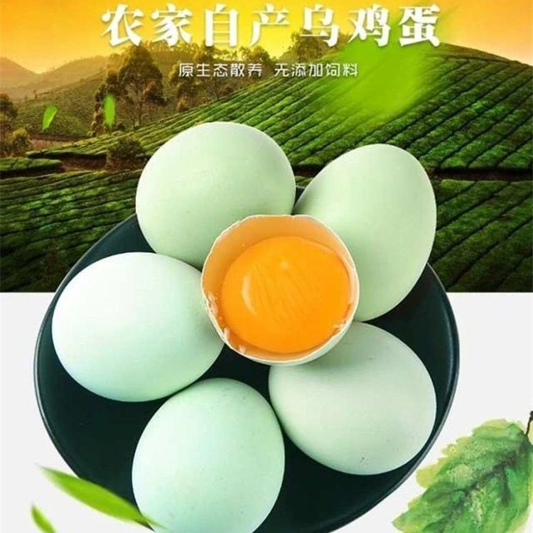 初生乌鸡蛋绿壳蛋35±5g单枚新鲜土鸡蛋散养土鸡蛋品质营养农家蛋