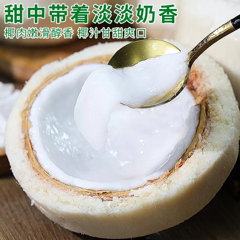 真宗海南椰青2-9个新鲜椰子水果孕妇去皮香椰皇椰汁椰子蛋整箱