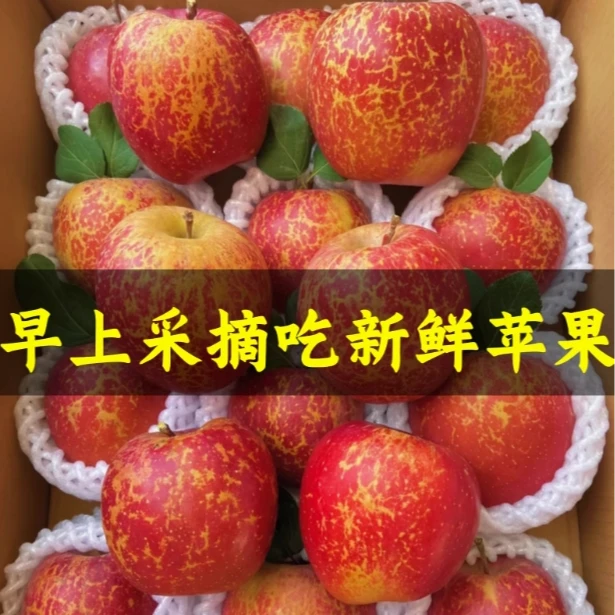 新鲜水果苹果好吃的水果