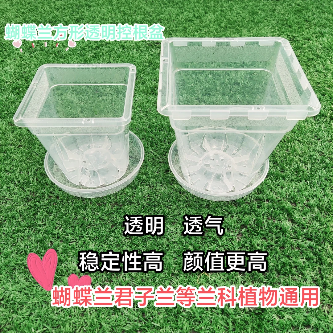 蝴蝶兰方型透明控根盆透气兰科植物通用