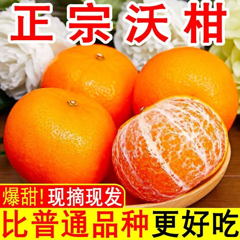 广西武鸣沃柑现摘橘子新鲜水果当季一级沙糖蜜橘砂糖柑橘大果包邮