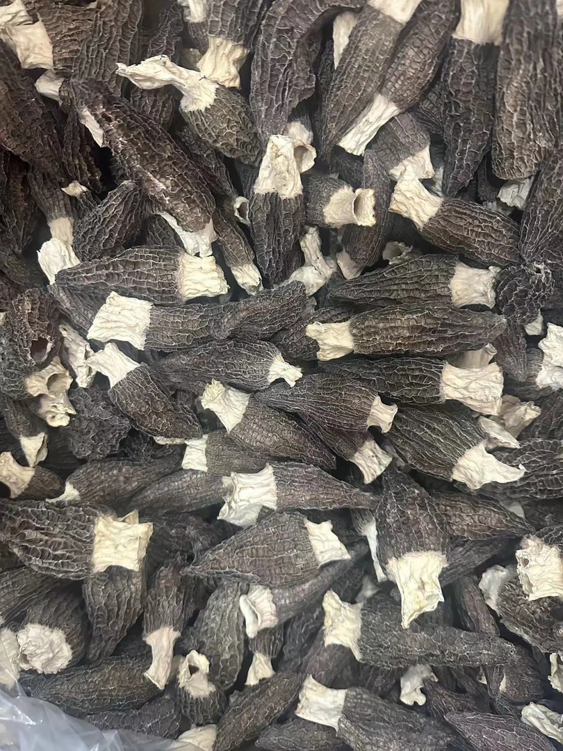 【玉姐精选】头茬9-12羊肚菌精品 100g/250g