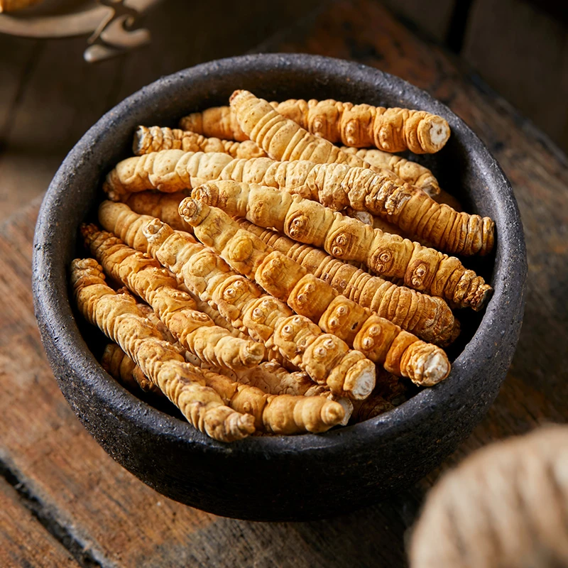 【格桑虫草专属】正品冬虫夏草10克大断草高海拔虫草食用