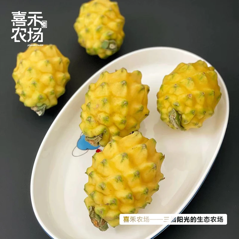 喜禾农场丨燕窝果  多规格可选