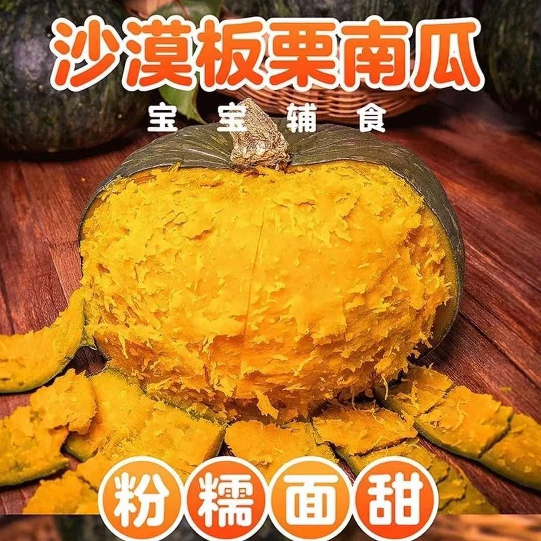 正宗沙漠板栗南瓜宝宝辅食香甜粉面糯原产地发货新鲜甜糯香味细腻