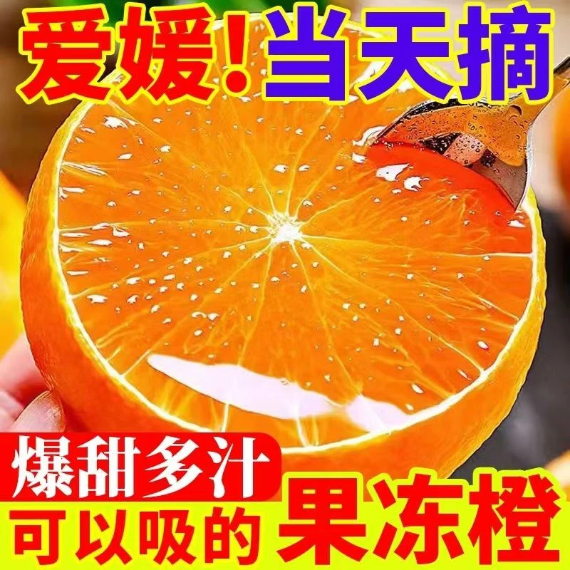 【gg果园直发】四川爱媛果冻橙现摘现发新鲜应季水果爆甜多汁
