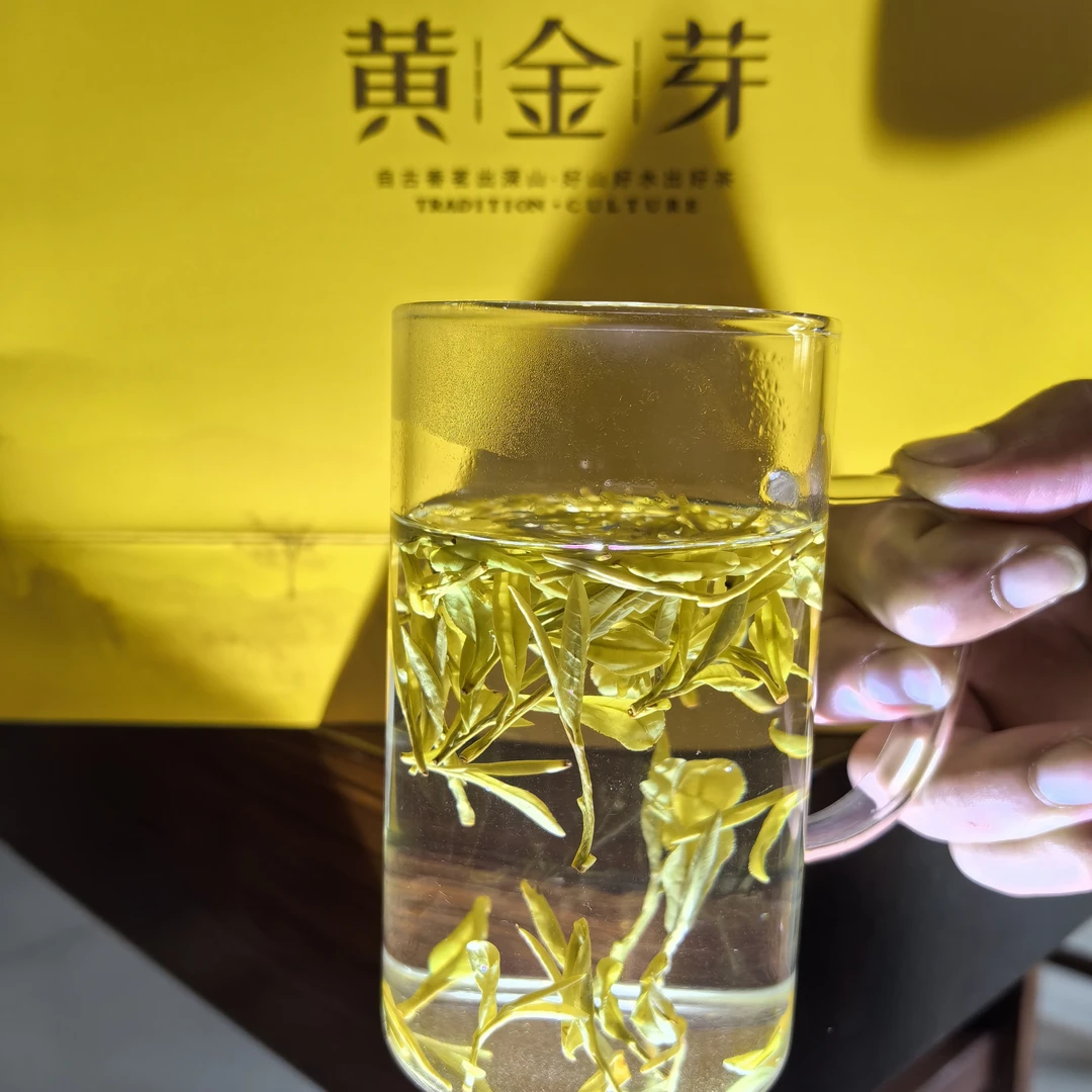 2025年新茶！安吉黄金芽！250克半斤2罐一个手提袋！京东快递！