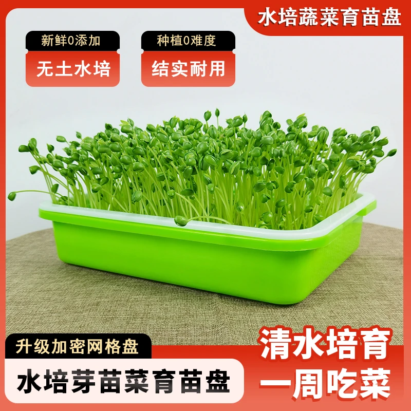 水培芽苗菜育苗盘水培盆豌豆黄豆豆芽黑豆苗萝卜苗育苗盆耐用