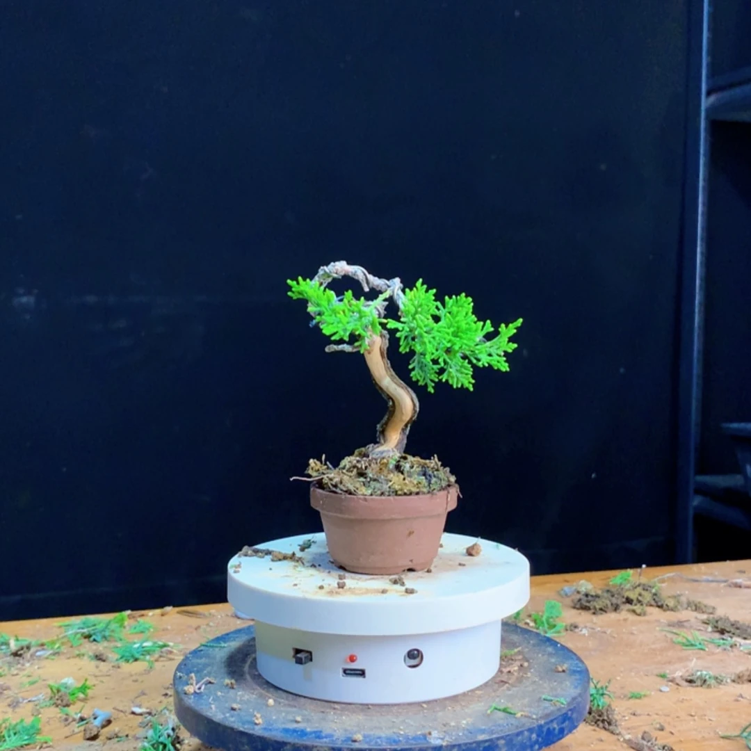 【闪购商品】红陶20CM（含）-50CM（不含）玩****厅