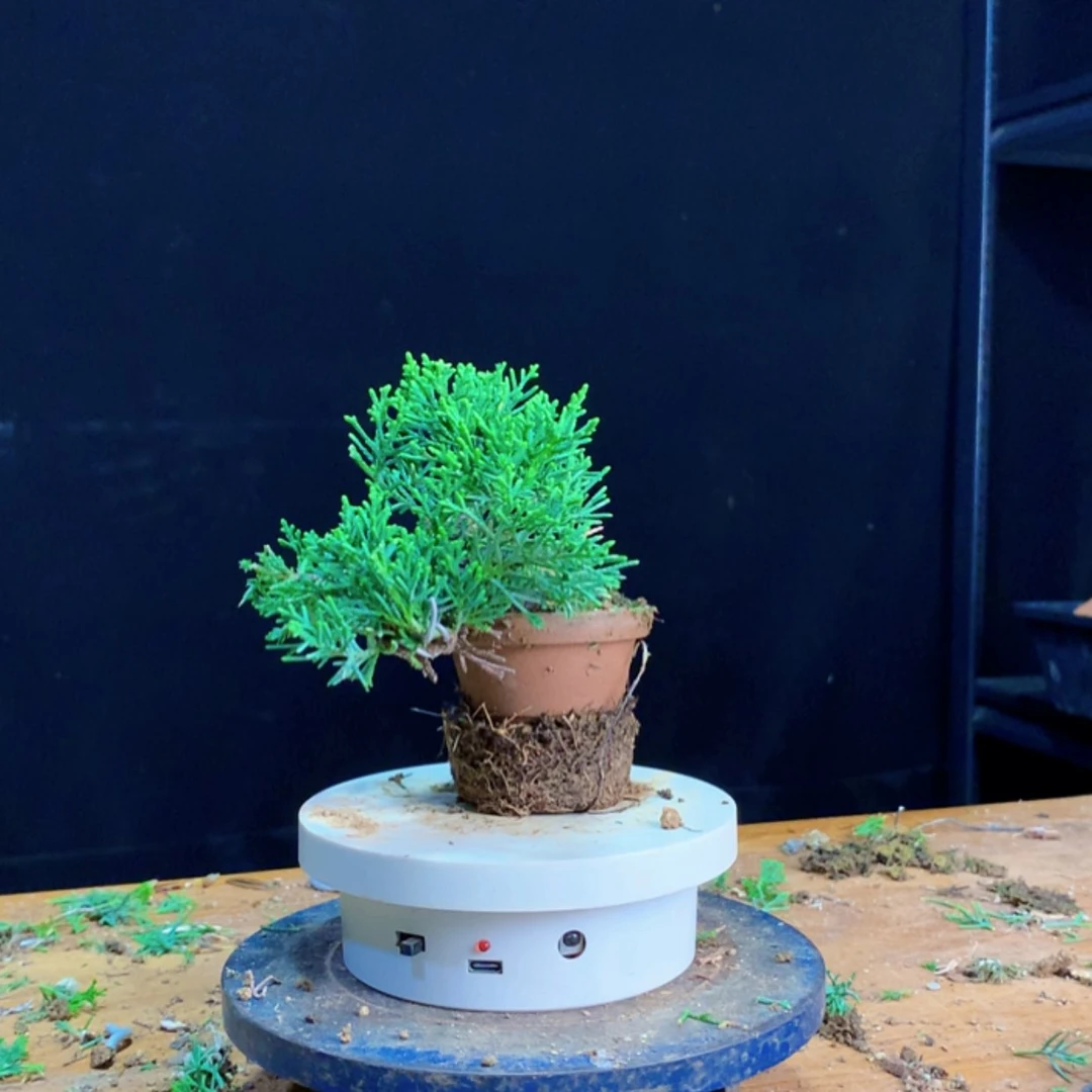 【闪购商品】红陶20CM（含）-50CM（不含）“****”