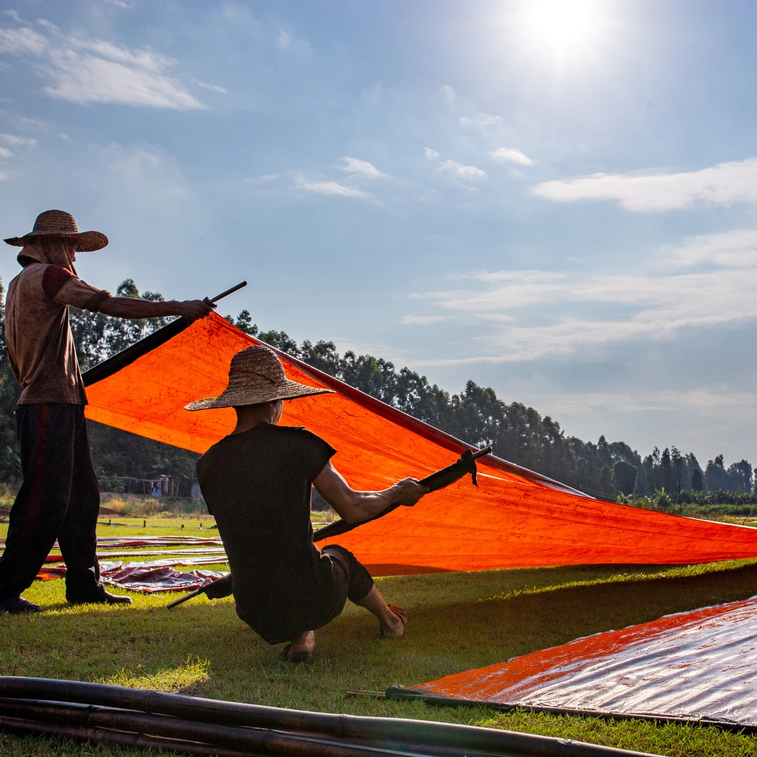 非遗传承人系列 布头（链接）
