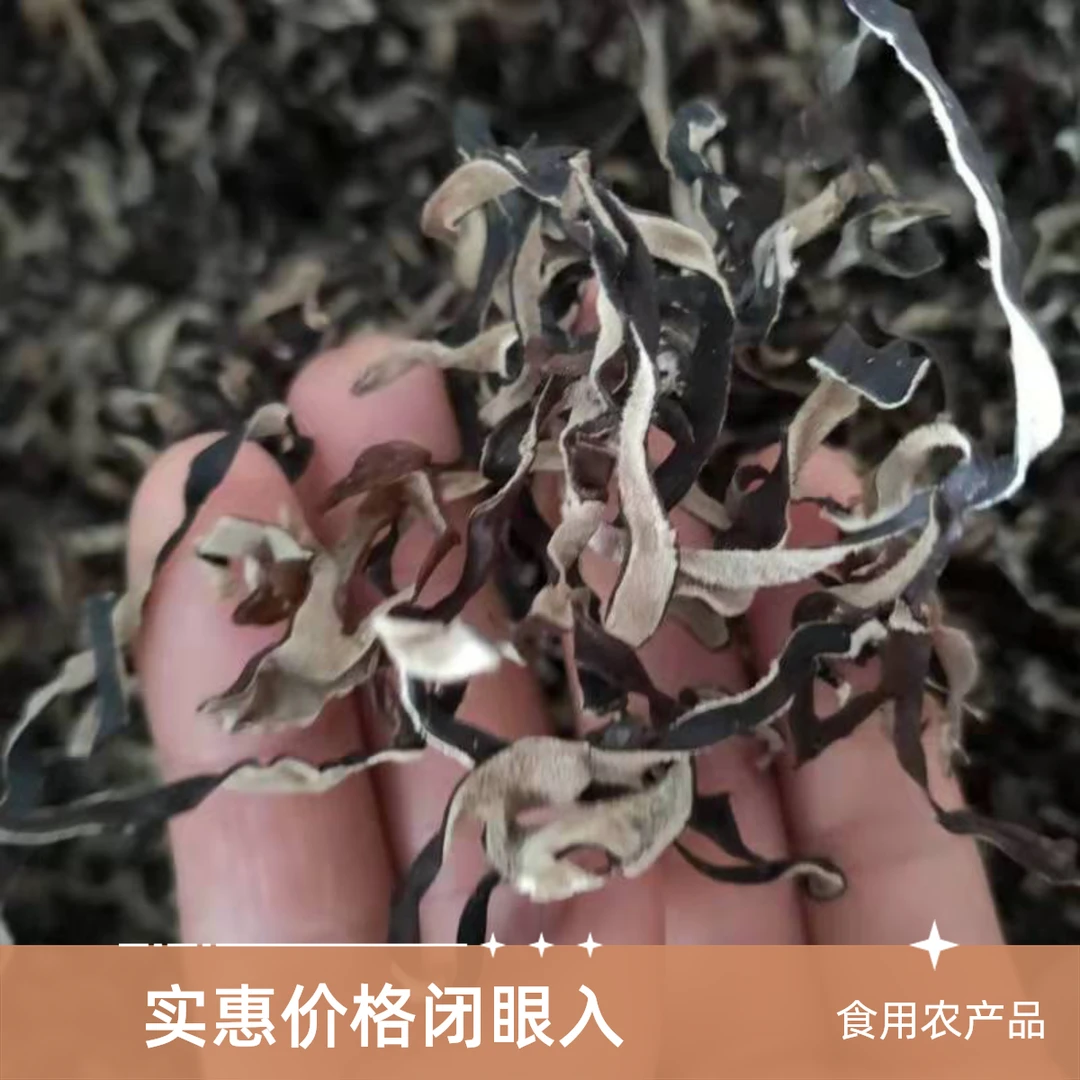 伏牛山白背毛木耳丝肉厚无根无沙 脆嫩爽口