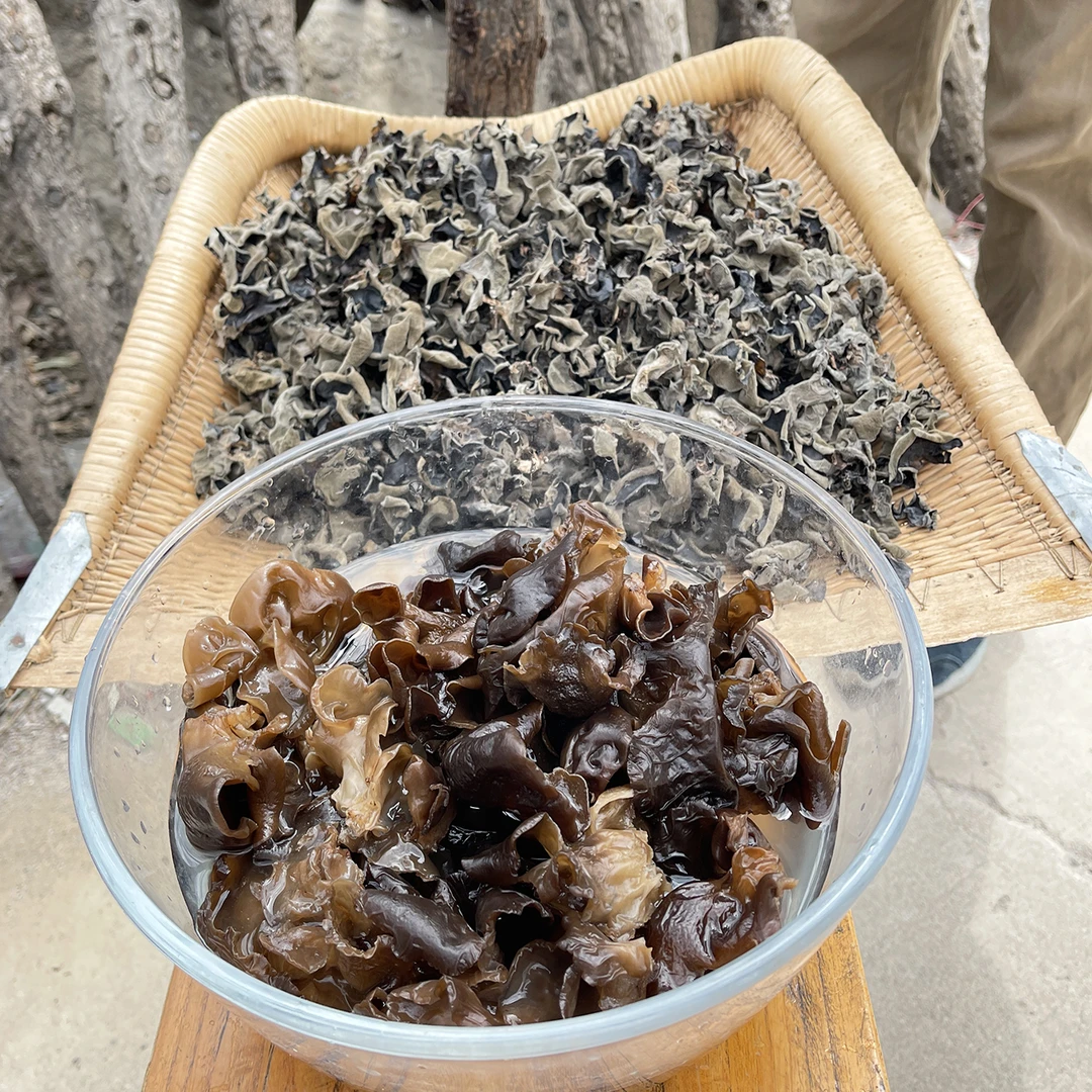 金峰家椴木黑木耳 自产自销 肉厚无根泡发率高【人工种植椴木木耳】