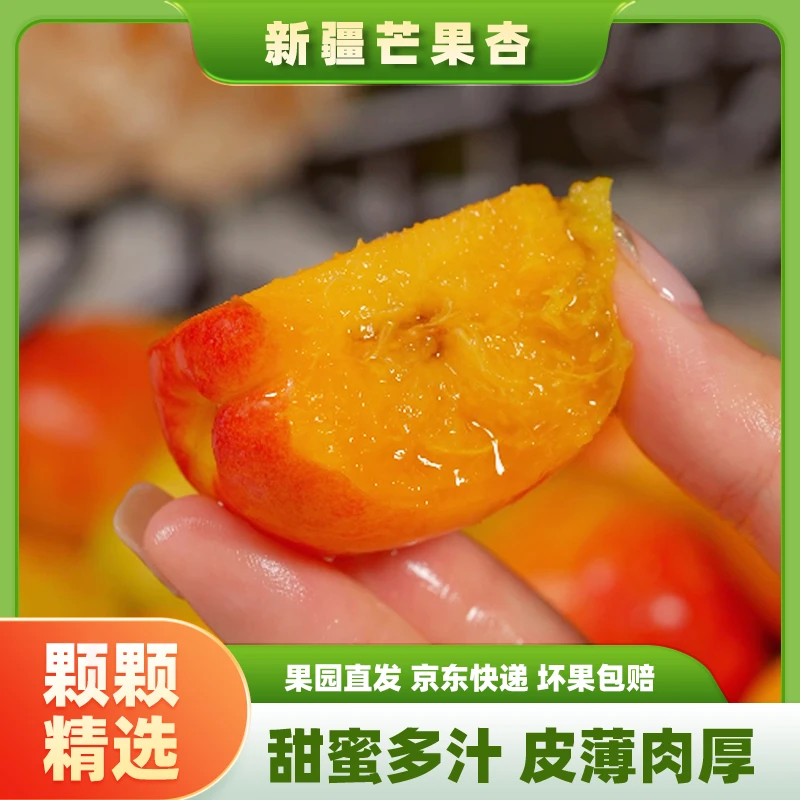 新疆阿瓦提芒果杏农家自种甜杏树上自然熟香甜多汁现摘现发3斤起