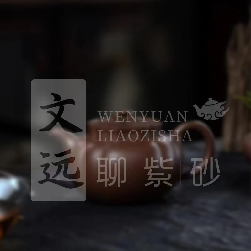 1.31文远甄选正宗福鼎老白茶寿眉茶叶紧压饼茶小方片-杂件15