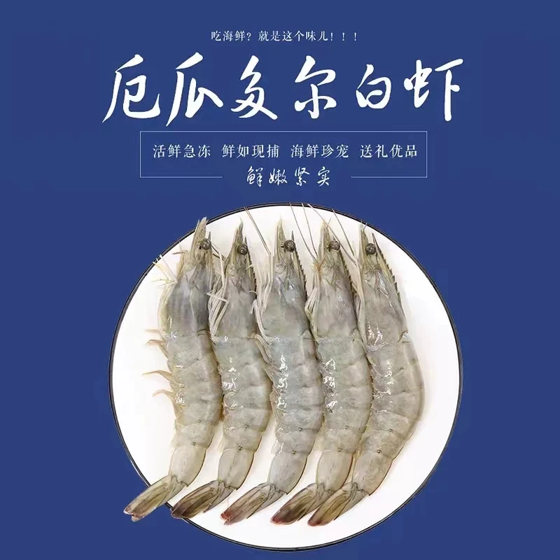 2030厄瓜多尔海洋大虾鲜活速冻新鲜单只冷冻1.65kg/盒