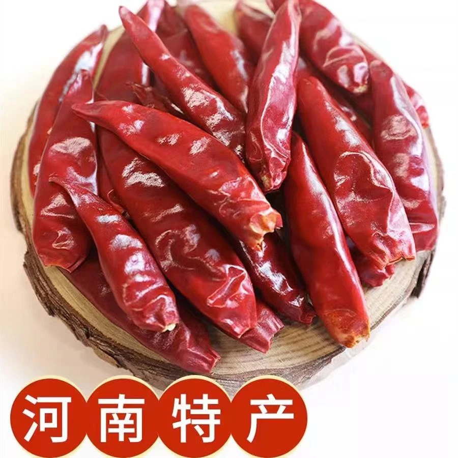 农家晾晒干辣椒  微辣干红辣椒 朝天椒 三樱椒 河南新一代辣椒段