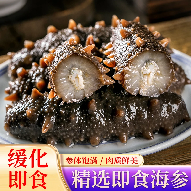 【即食大连海参】 20-25头/1斤正宗辽刺参冷冻营养健康口感Q弹