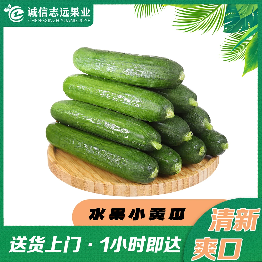 水果小黄瓜950-1000g